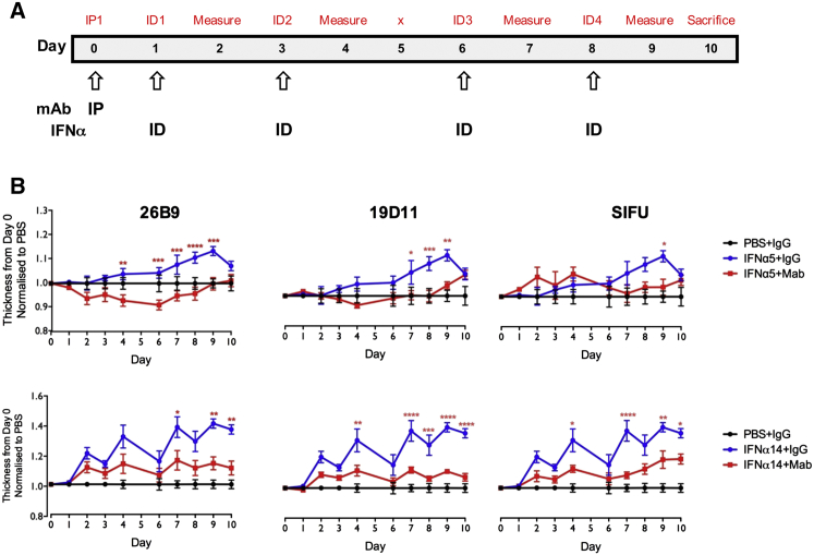 Figure 5