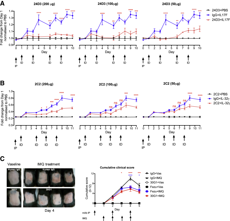 Figure 6