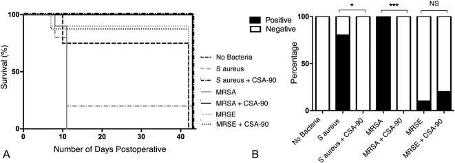 Fig. 1 A-B