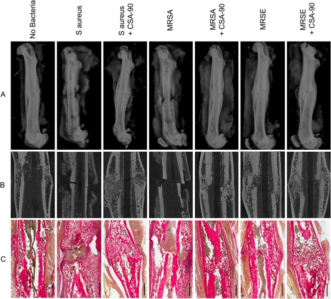 Fig. 2 A-C