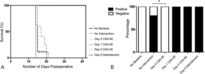 Fig. 5 A-B