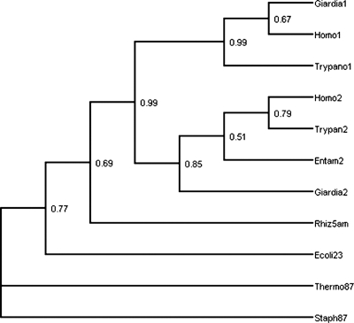 FIG. 7.