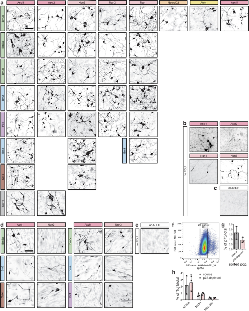 Extended Data Fig. 1 |