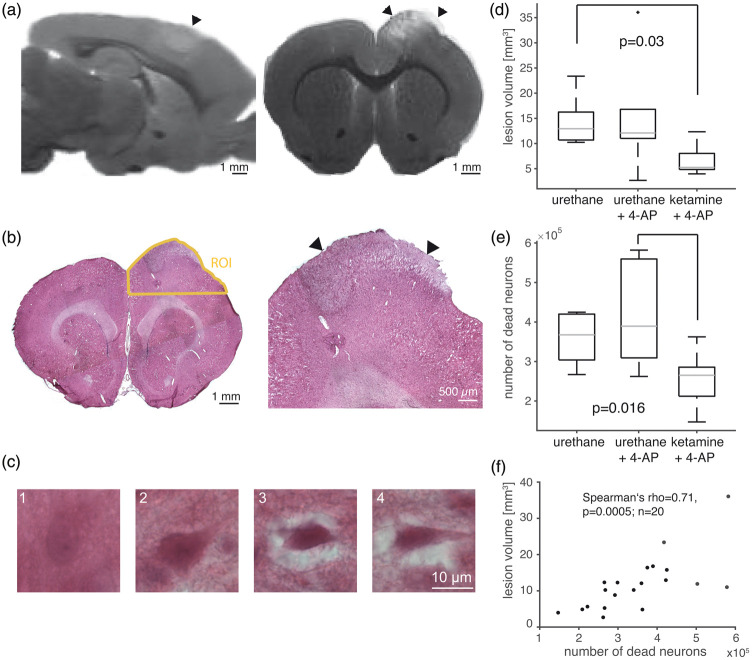 Figure 6.