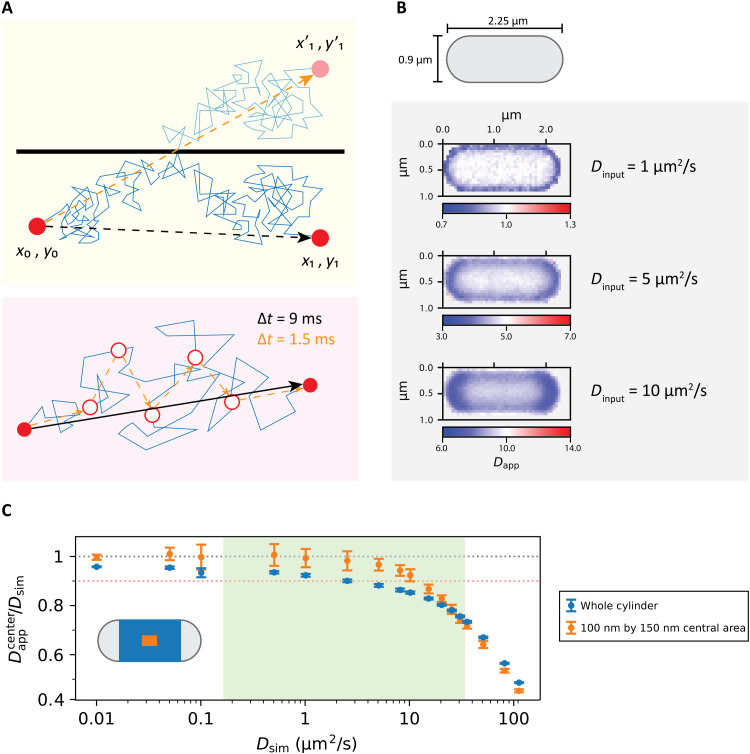 Fig. 3.