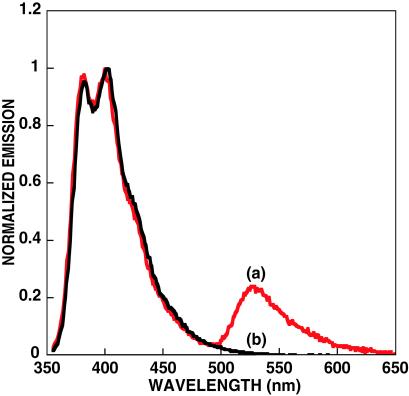 Fig 3.