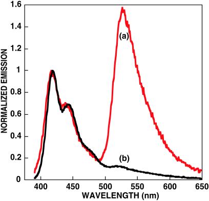 Fig 2.