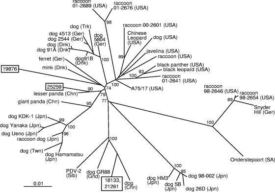 FIG. 2.