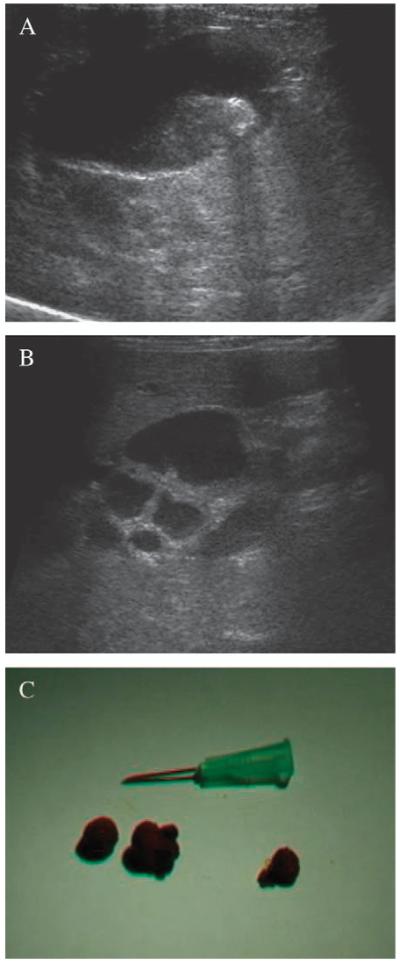 FIG 2