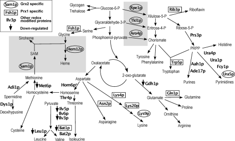 FIGURE 3.