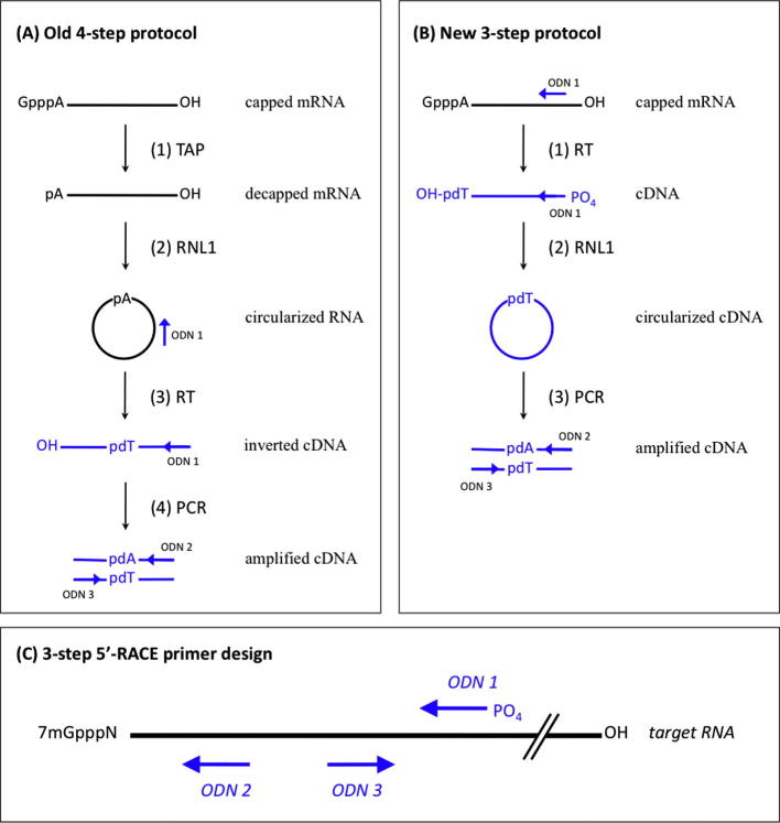 Fig.1