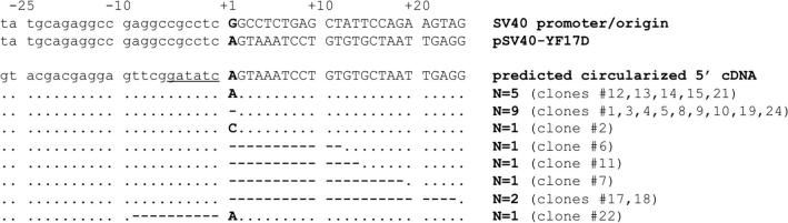 Fig.2