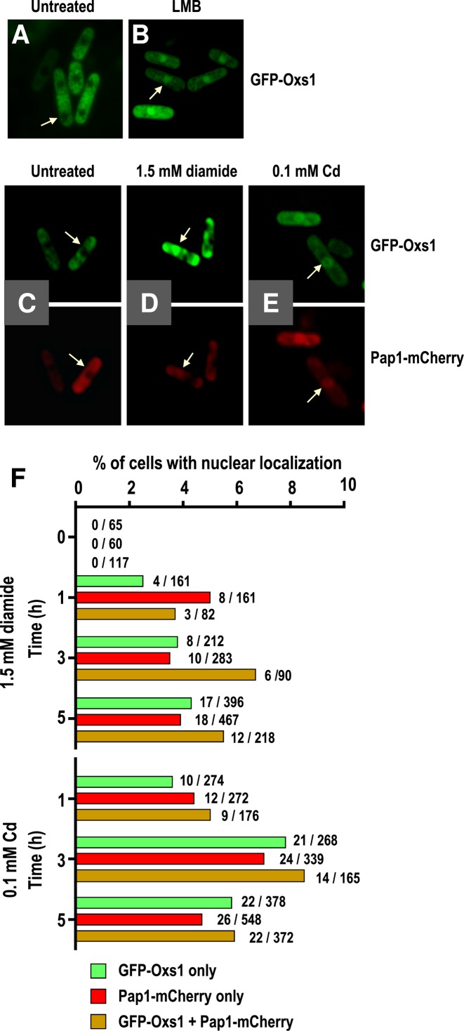 Figure 5.