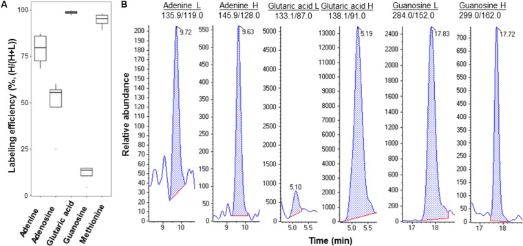 FIGURE 3