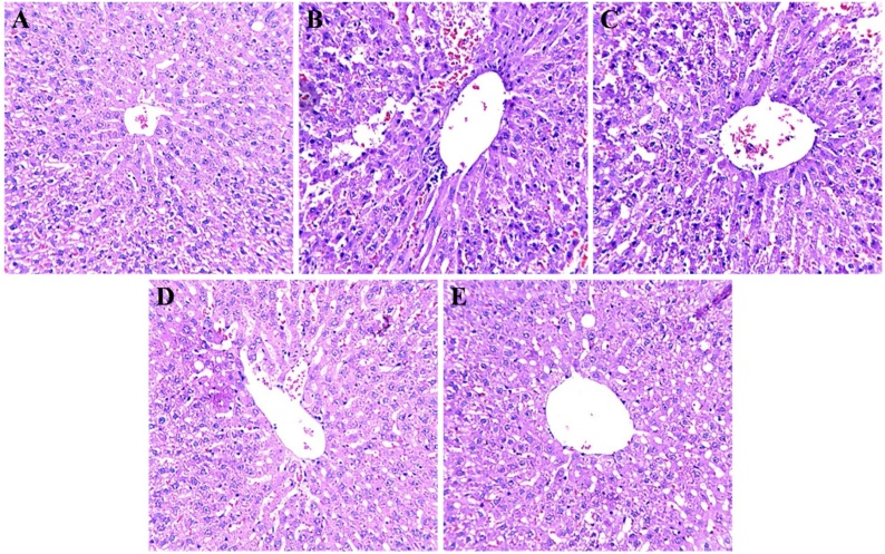 Fig. 13