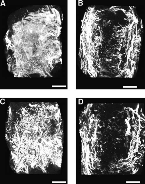 FIG. 7.