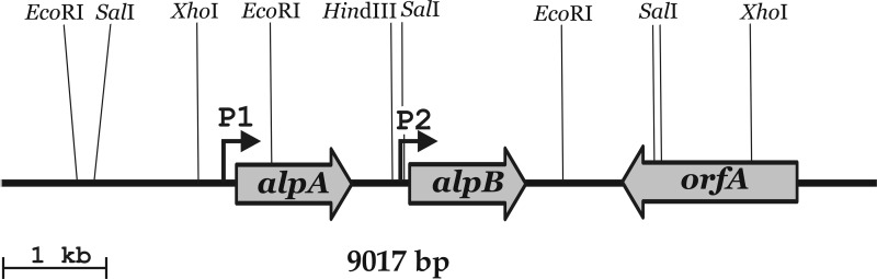 Fig 1