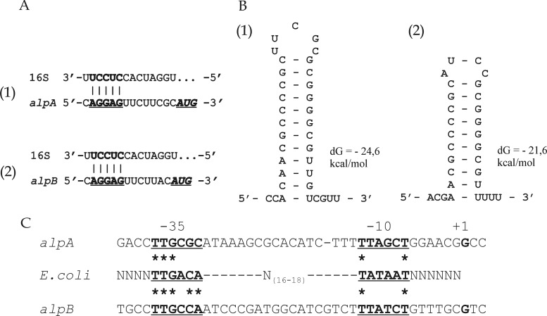 Fig 5