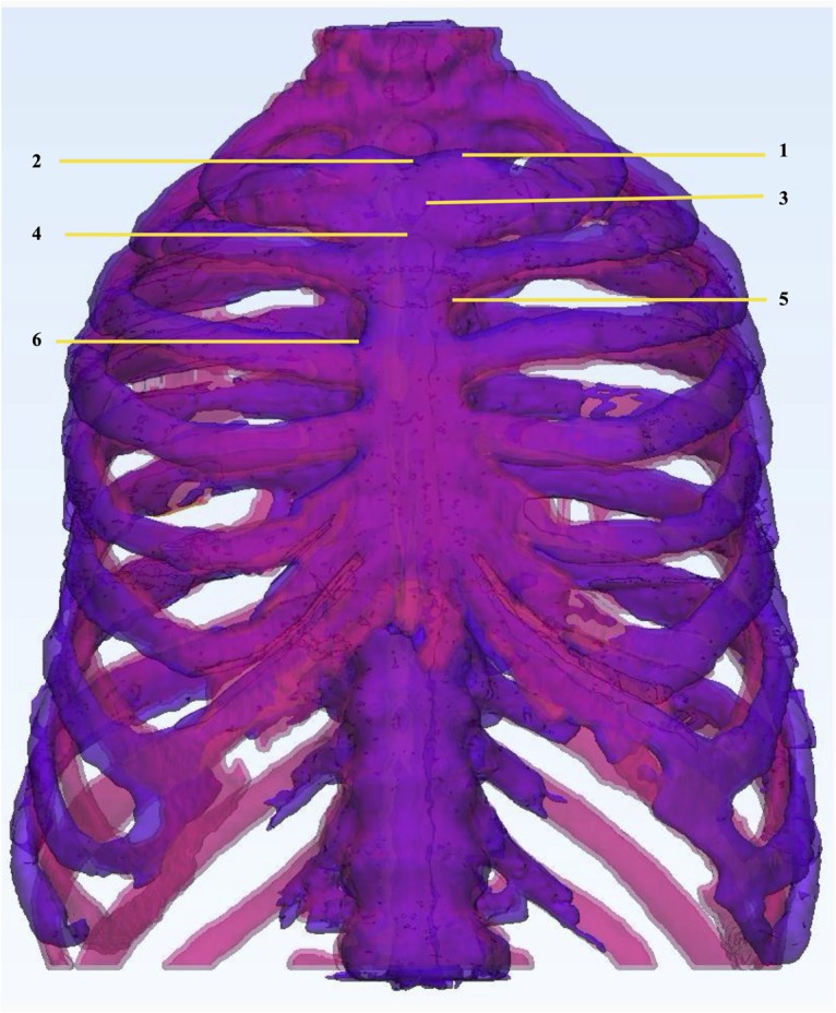 FIGURE 3