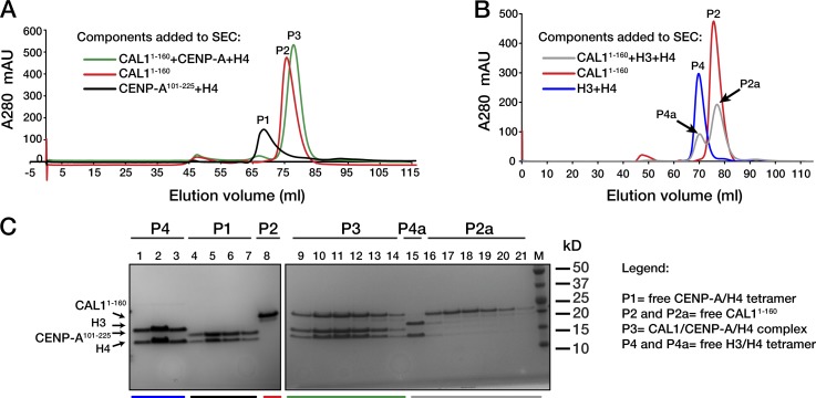 Figure 5.