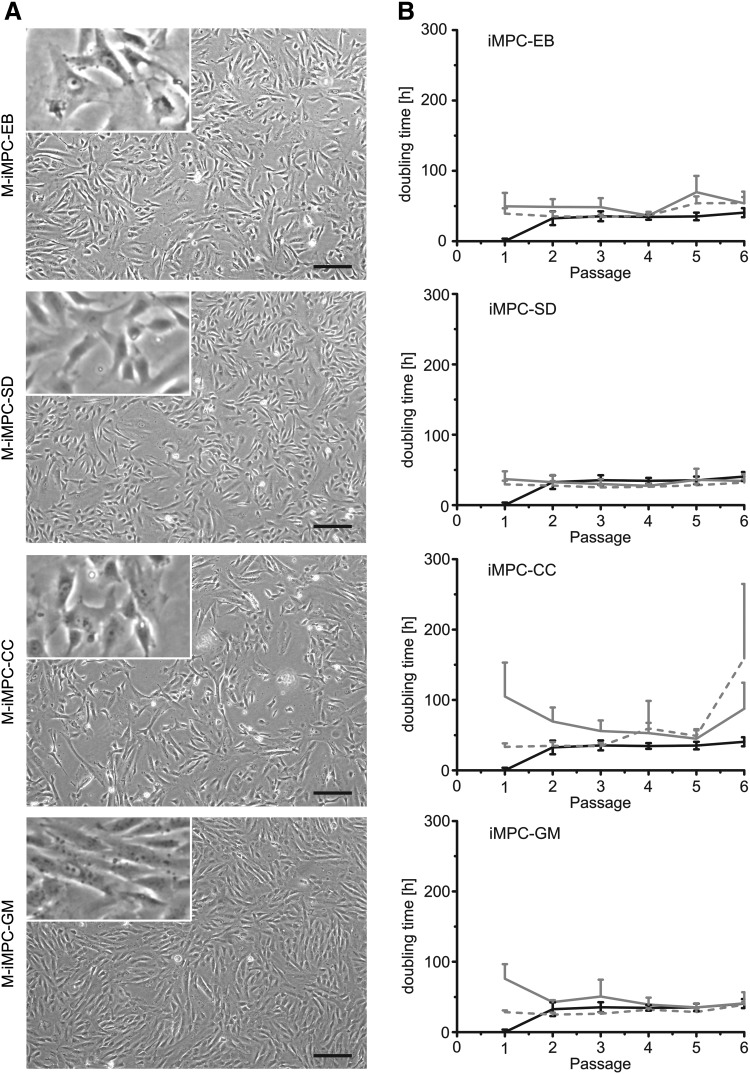 FIG. 2.