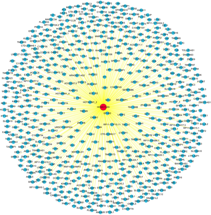 Figure 13