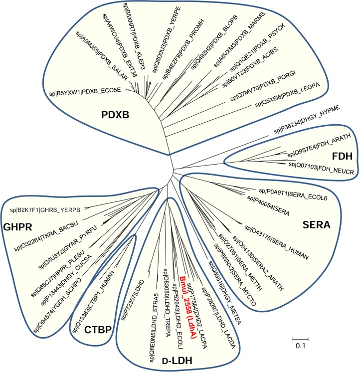 FIG 3