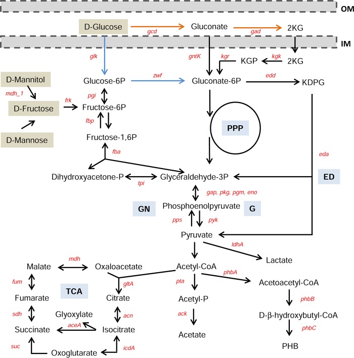 FIG 1