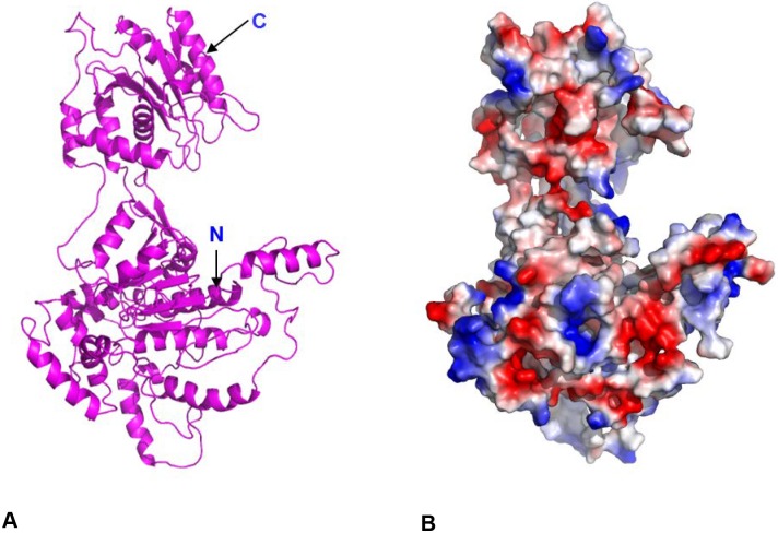 Fig 1