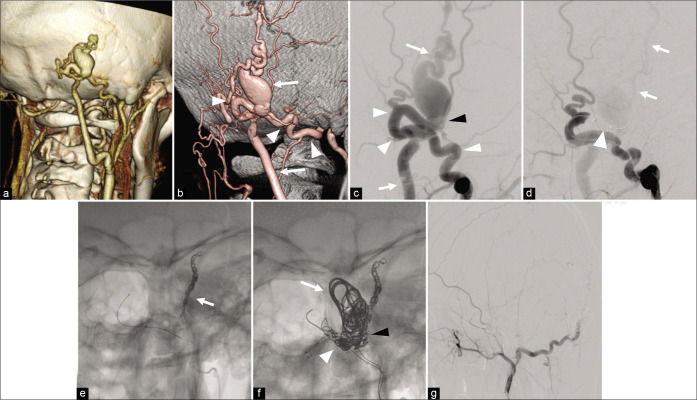 Figure 2: