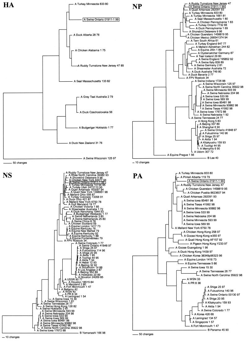 FIG. 1