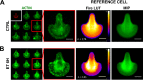 FIG 4