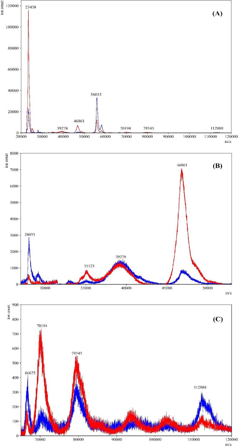 Fig. 12