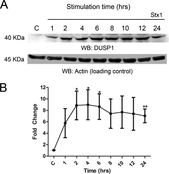 Fig 4