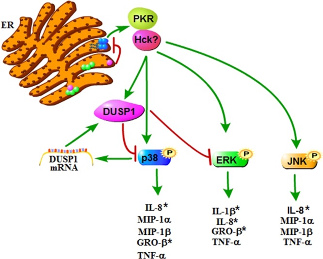 Fig 9