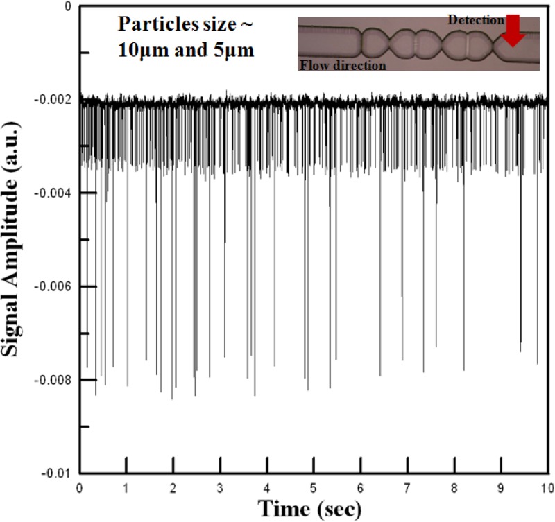 Figure 10