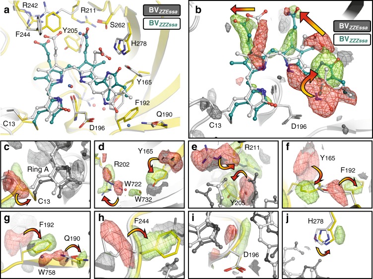 Fig. 6