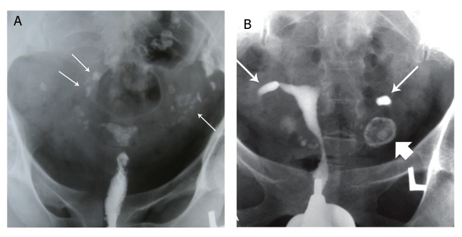 Fig 1