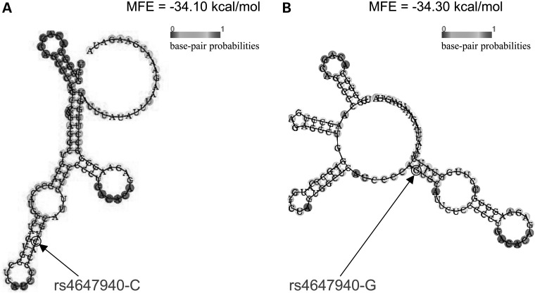 Figure 5.