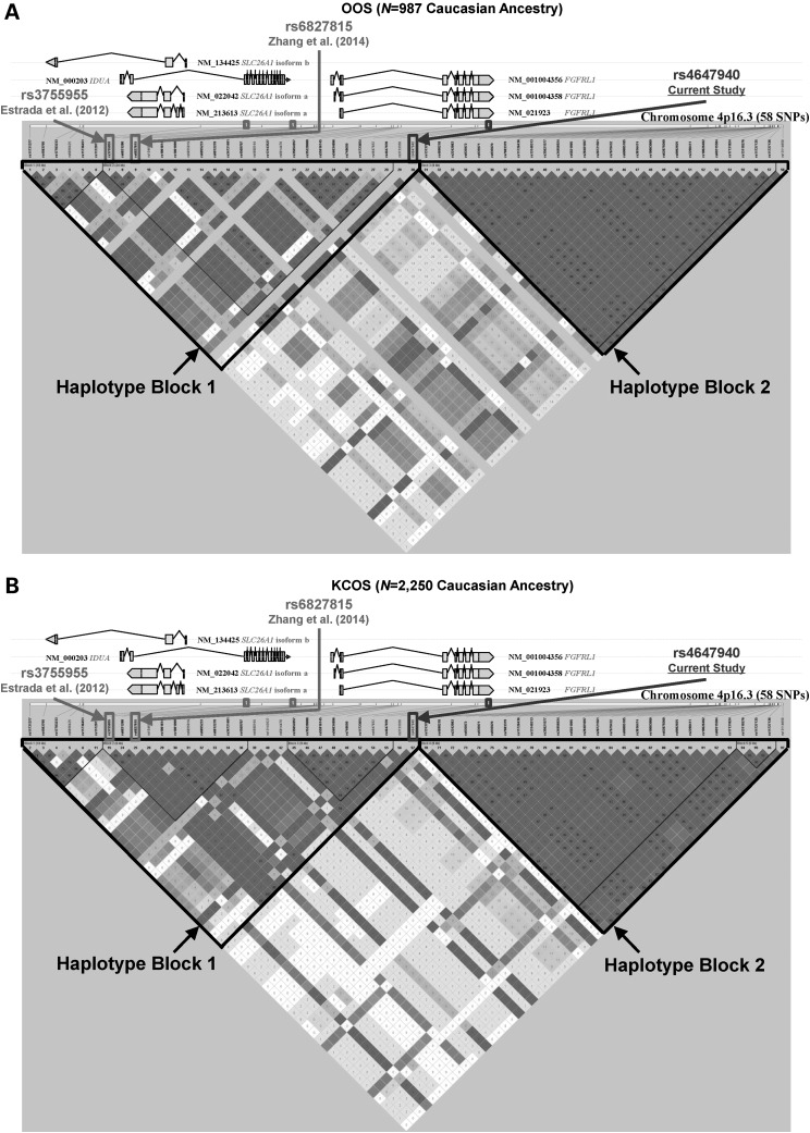 Figure 4.