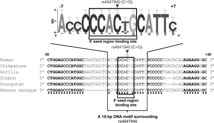 Figure 6.