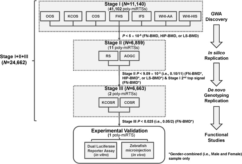 Figure 1.