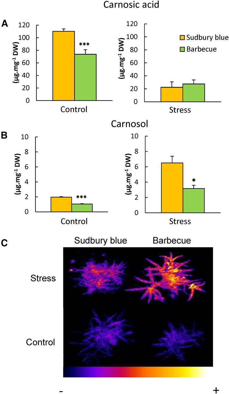 Figure 10.