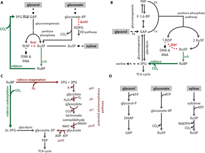 Figure 2—figure supplement 3.