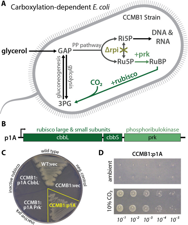 Figure 2.