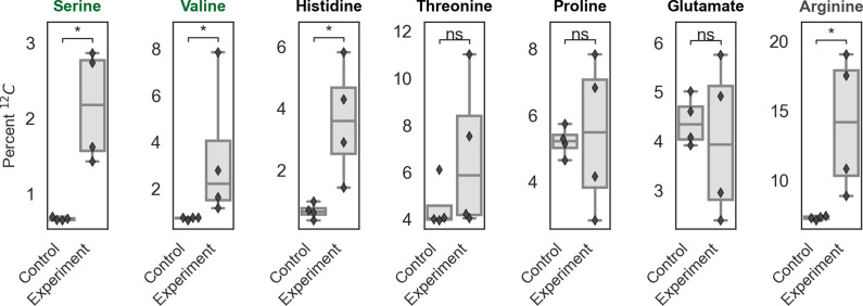 Figure 6—figure supplement 1.