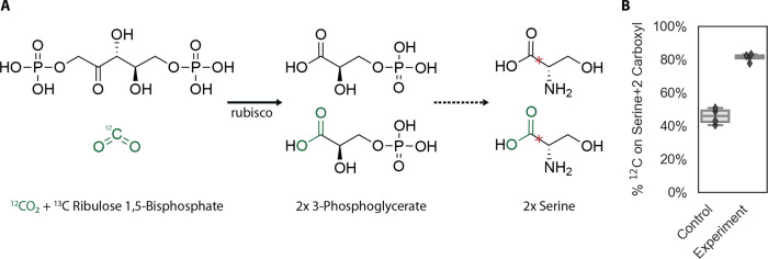 Figure 6—figure supplement 3.