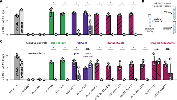 Figure 4—figure supplement 1.