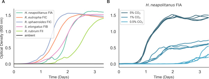 Figure 2—figure supplement 1.