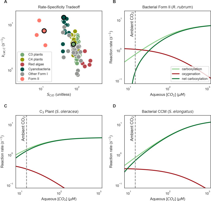 Figure 1—figure supplement 1.